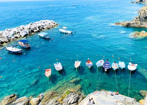 Boat Trips