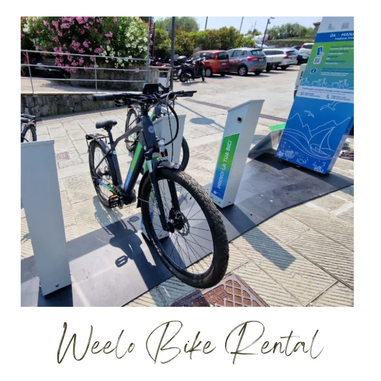 Weelo Bike Rental