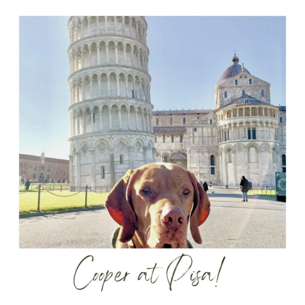 Cooper visiting the Leaning Tower of Pisa!