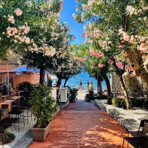 Lapos Ristorante