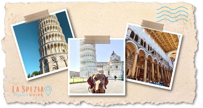 Pisa Montage