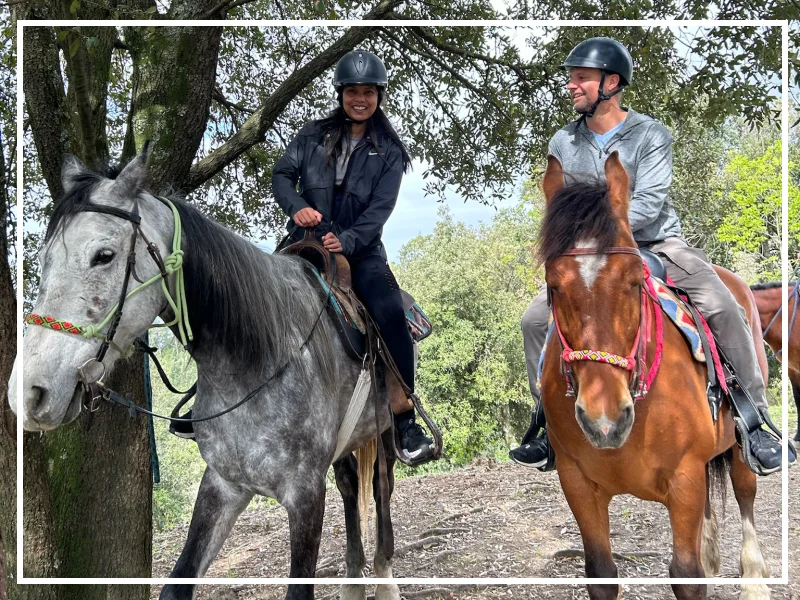 Horse Riding in Cinque Terre