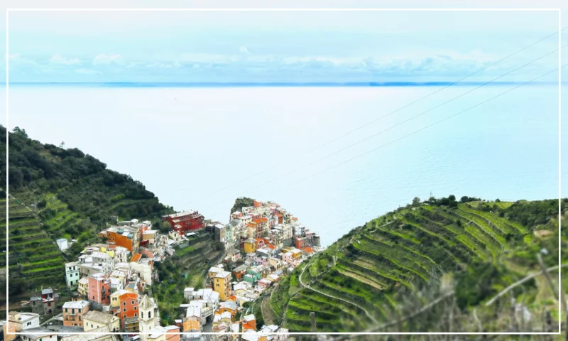 Cinque Terre terraced vineyards