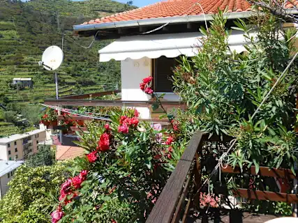 Affittacamere Stella Cinque Terre garden views