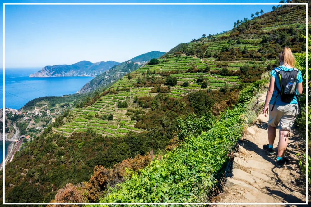 Cinque Terre hiking trails