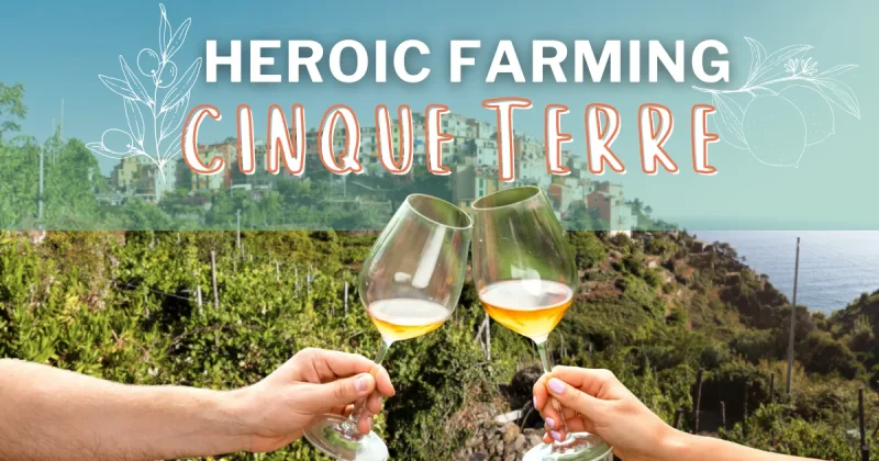 Farming and Produce of Cinque Terre
