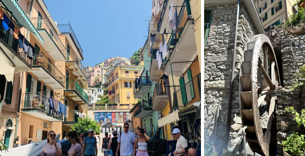 Manarola historic town